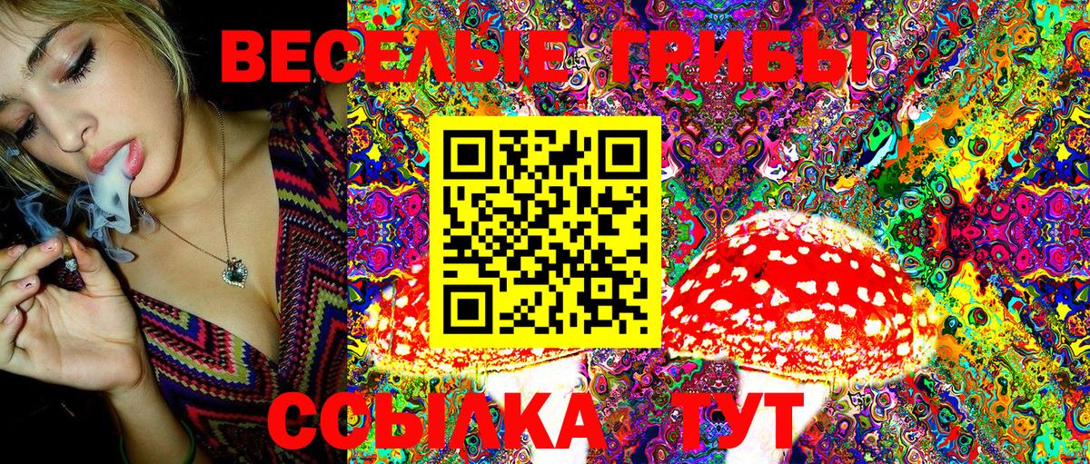 Псилоцибиновые грибы MAGIC MUSHROOMS  Вход с VPN  Архангельск 