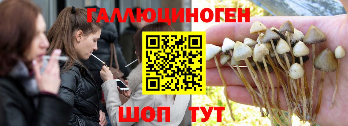 Галлюциногенные грибы Cubensis Архангельск