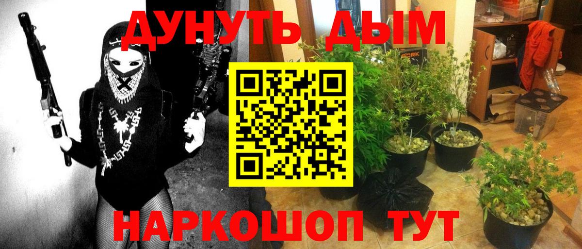 Бошки Шишки планчик Архангельск